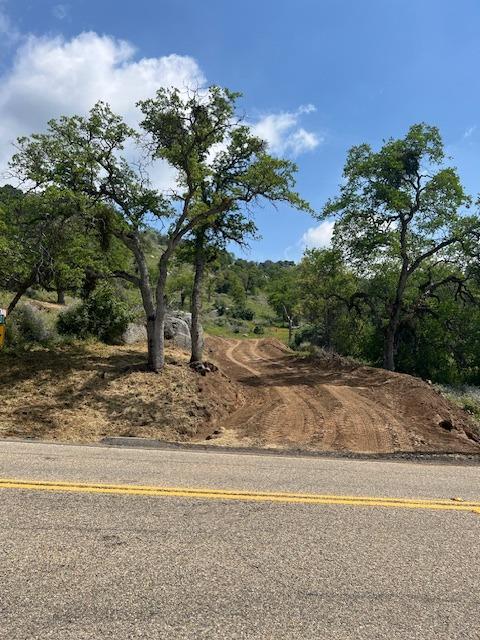 0 Pepperweed Road Squaw Valley, CA 93675 - Photo 15 of 23