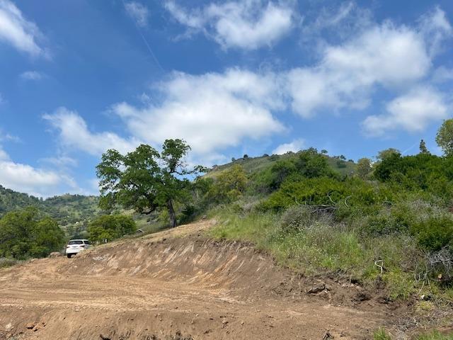 0 Pepperweed Road Squaw Valley, CA 93675 - Photo 17 of 23