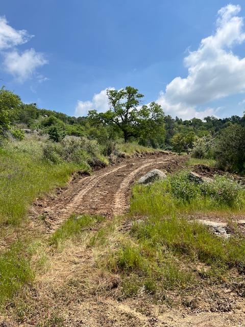 0 Pepperweed Road Squaw Valley, CA 93675 - Photo 22 of 23
