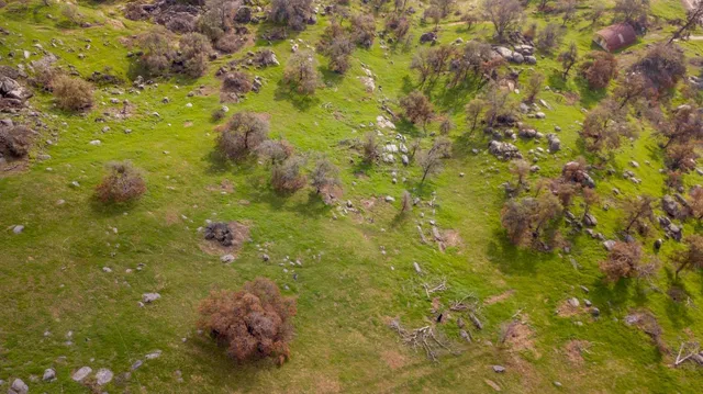 $30,000 | 0 Pepperweed Road, Squaw Valley, CA 93675