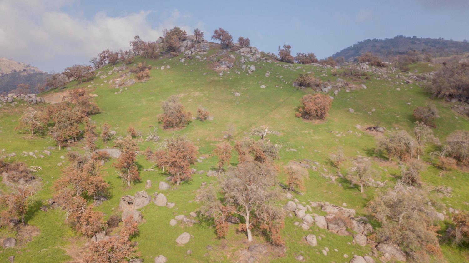 0 Pepperweed Road Squaw Valley, CA 93675 - Photo 9 of 23