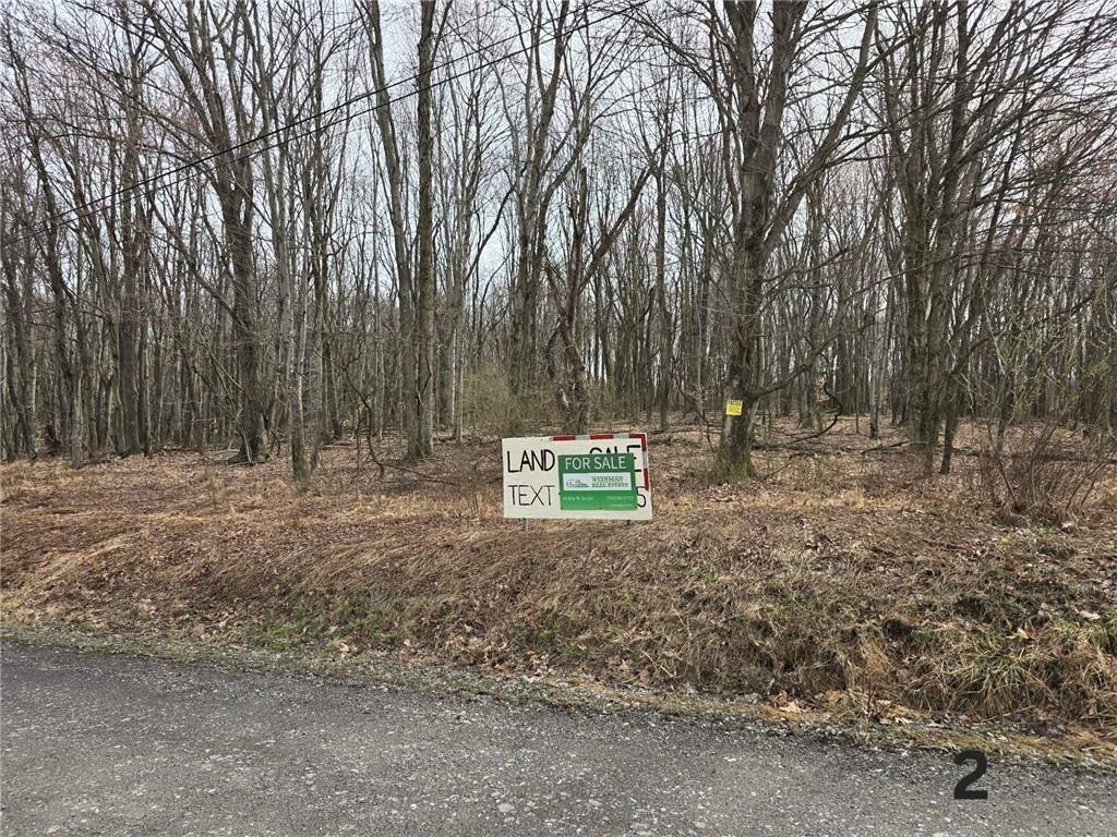 0 Lutheran Church Road Apollo, PA 15613 - Photo 2 of 7