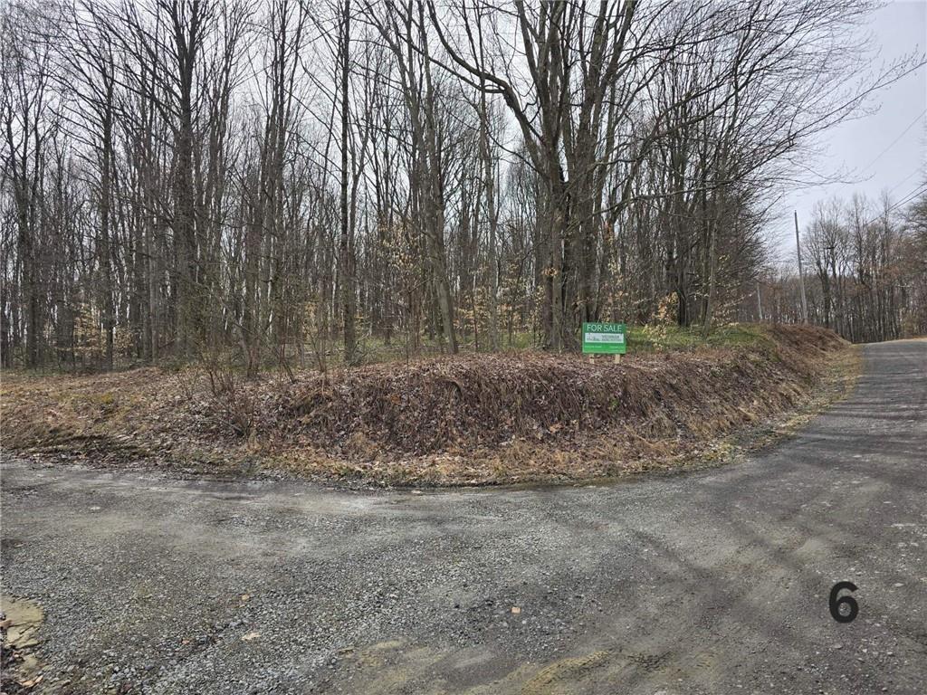 0 Lutheran Church Road Apollo, PA 15613 - Photo 3 of 7