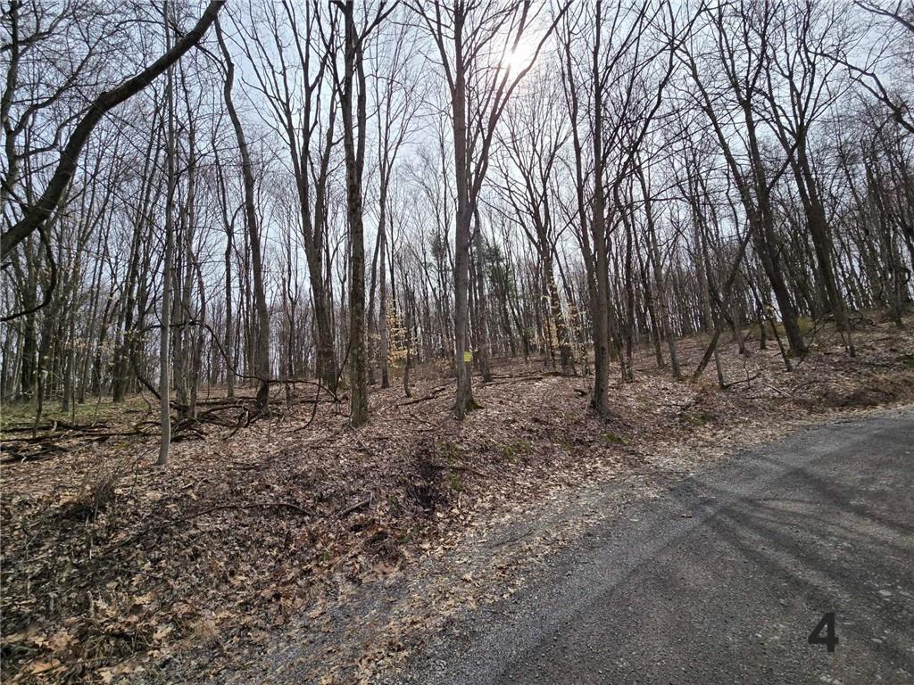 0 Lutheran Church Road Apollo, PA 15613 - Photo 5 of 7