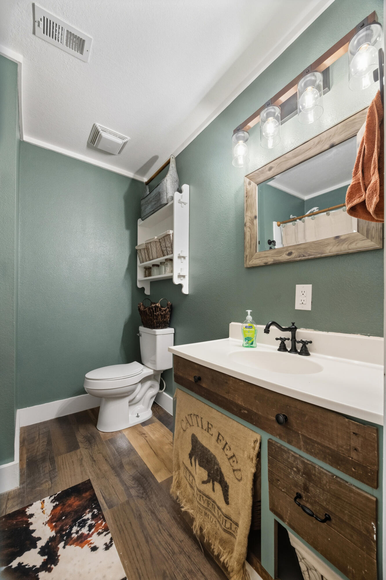 4398 Cooper Lane Holt, FL 32564 - Photo 32 of 53 a bathroom with a sink a toilet and mirror