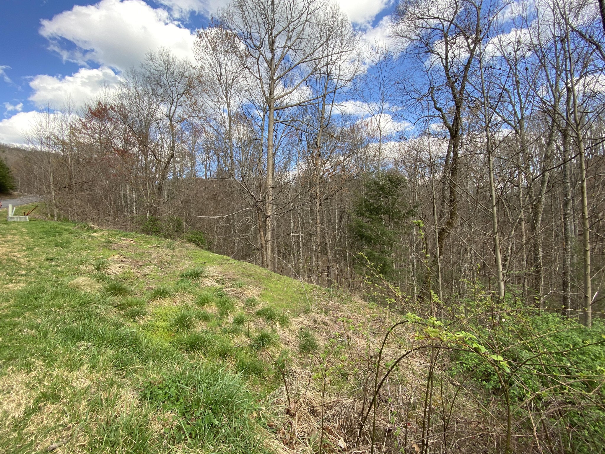 0 South Clear Fork Road Sevierville, TN 37862 - Photo 11 of 22 Gallery Image 11