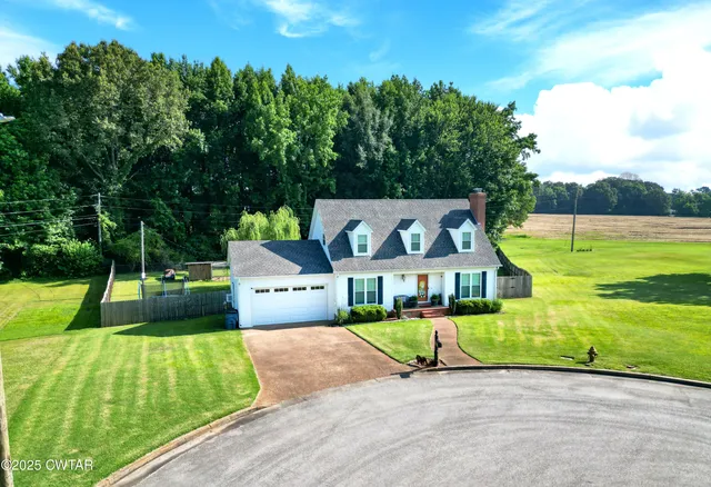 a view of a park with large trees