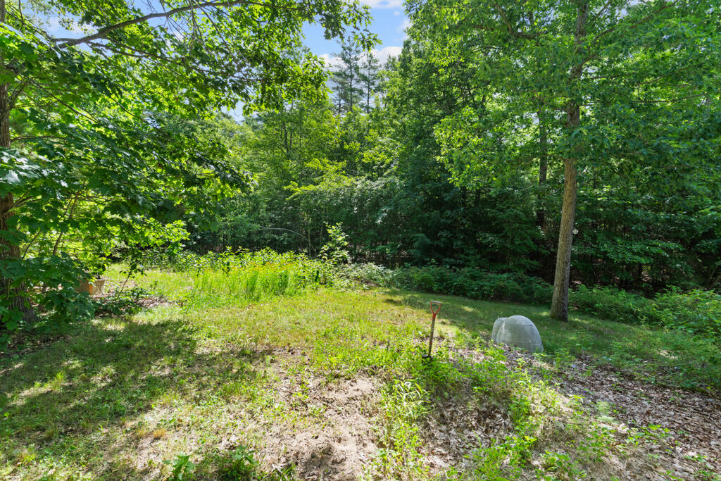 238 Long Plains Road Buxton, ME 04093 - Photo 8 of 42 Yard