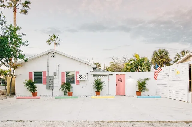 view of a potted plants next to a road
