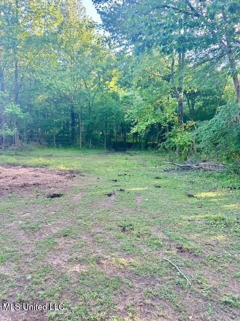 1 Lyles Road Senatobia, MS 38668 - Photo 10 of 16 image9