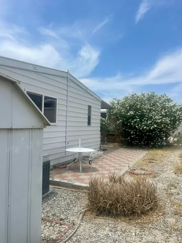 a view of a yard with plants and trees