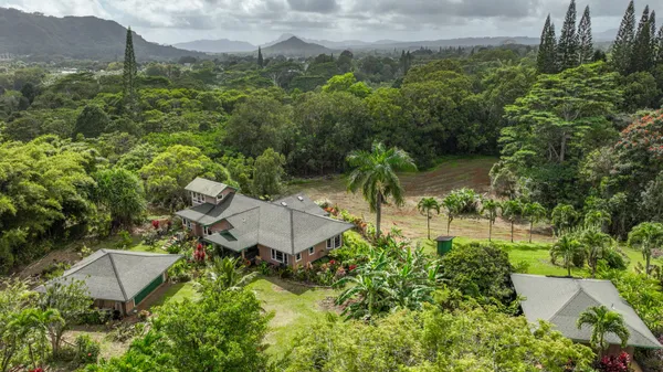 a view of a garden with plants and large trees