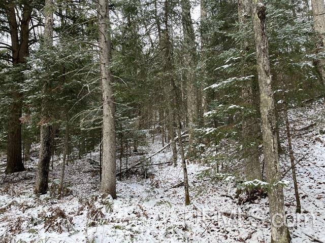 545 South Rd Skandia Mi 49885 Road Skandia, MI 49885 - Photo 18 of 38