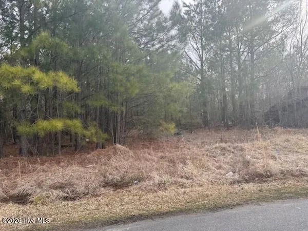 $39,000 | Tbd Carter Street, Woodland, NC 27897