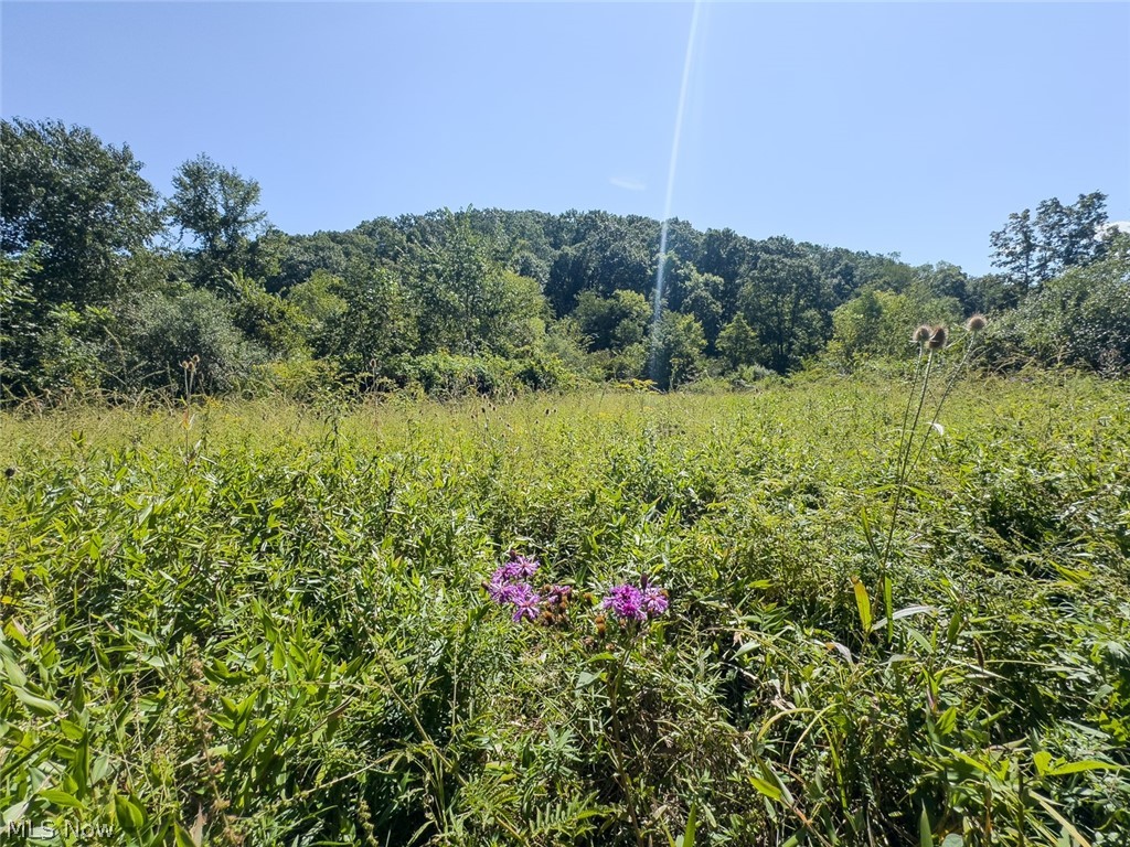 0 Brewer Road Cadiz, OH 43907 - Photo 15 of 37 View of undeveloped land