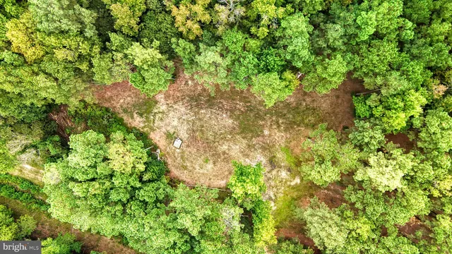 a view of a lake with a city