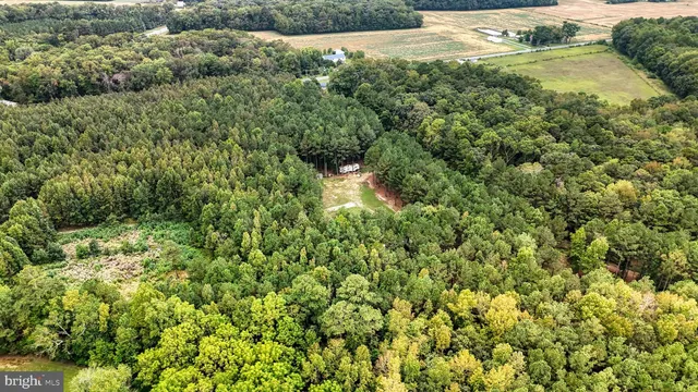 $440,000 | 29028 Black Pepper Lane, Georgetown, DE 19947