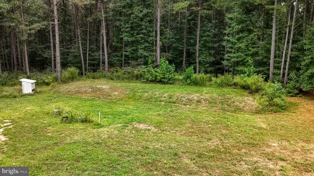 a view of a swimming pool with a yard