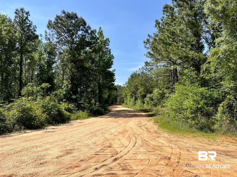 0 Fluker Kiel Road Coffeeville, AL 36524 - Photo 25 of 34