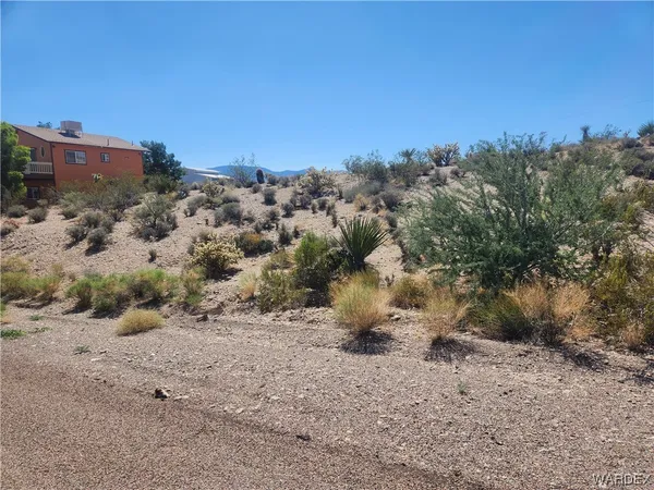 a view of a dry yard with trees