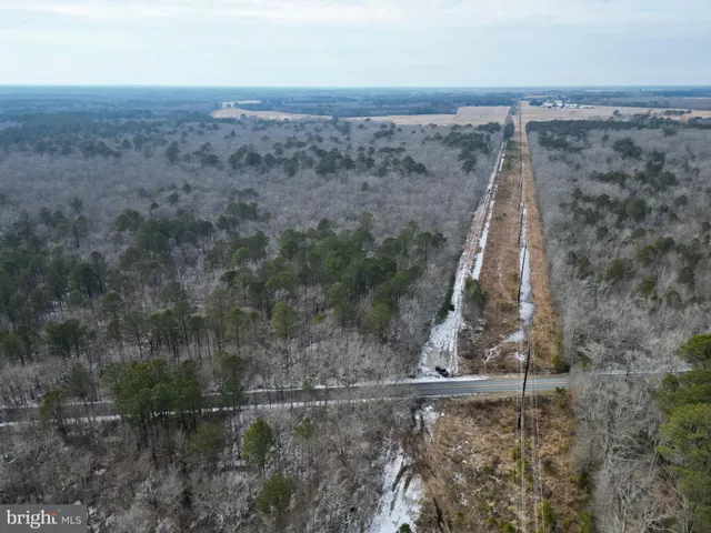 $115,000 | 0 Holly Grove Road, Berlin, MD 21811