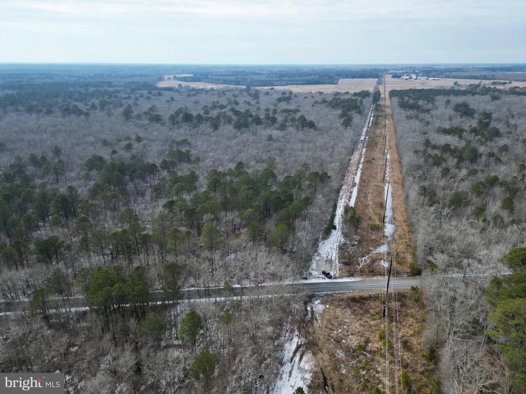 0 Holly Grove Road Berlin, MD 21811 - Photo 2 of 11