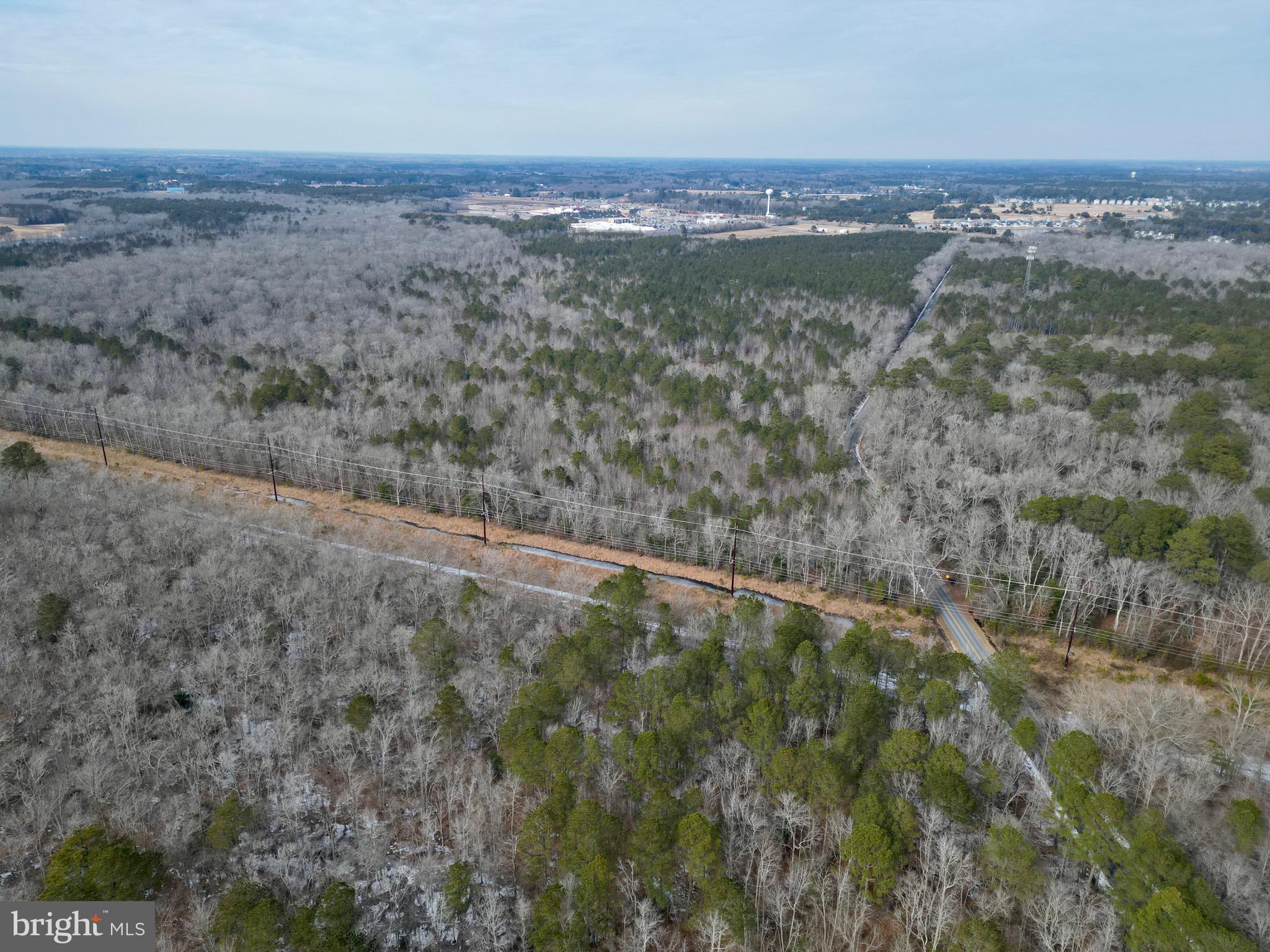 0 Holly Grove Road Berlin, MD 21811 - Photo 3 of 11
