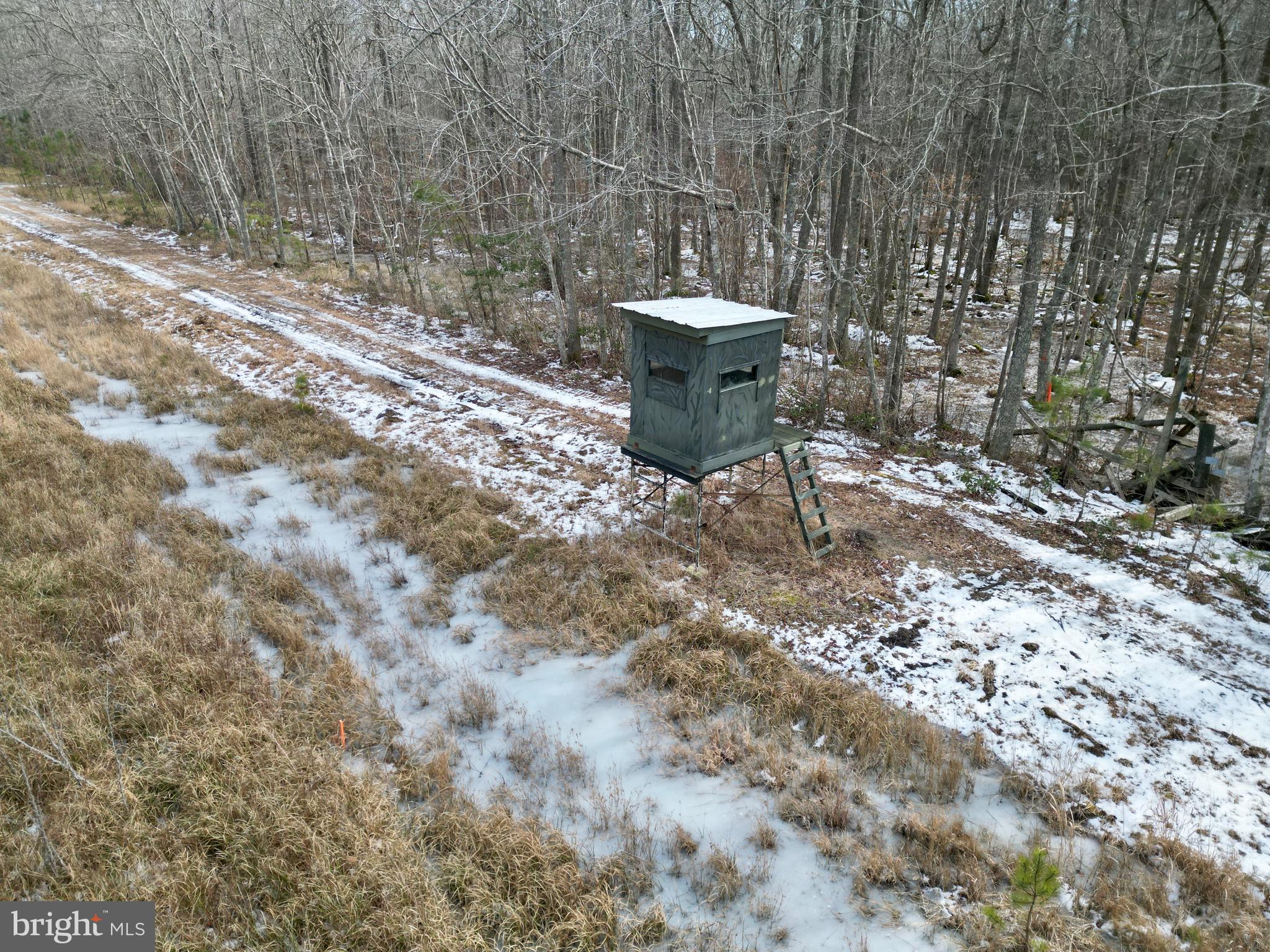 0 Holly Grove Road Berlin, MD 21811 - Photo 4 of 11