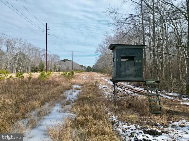 $115,000 | 0 Holly Grove Road, Berlin, MD 21811