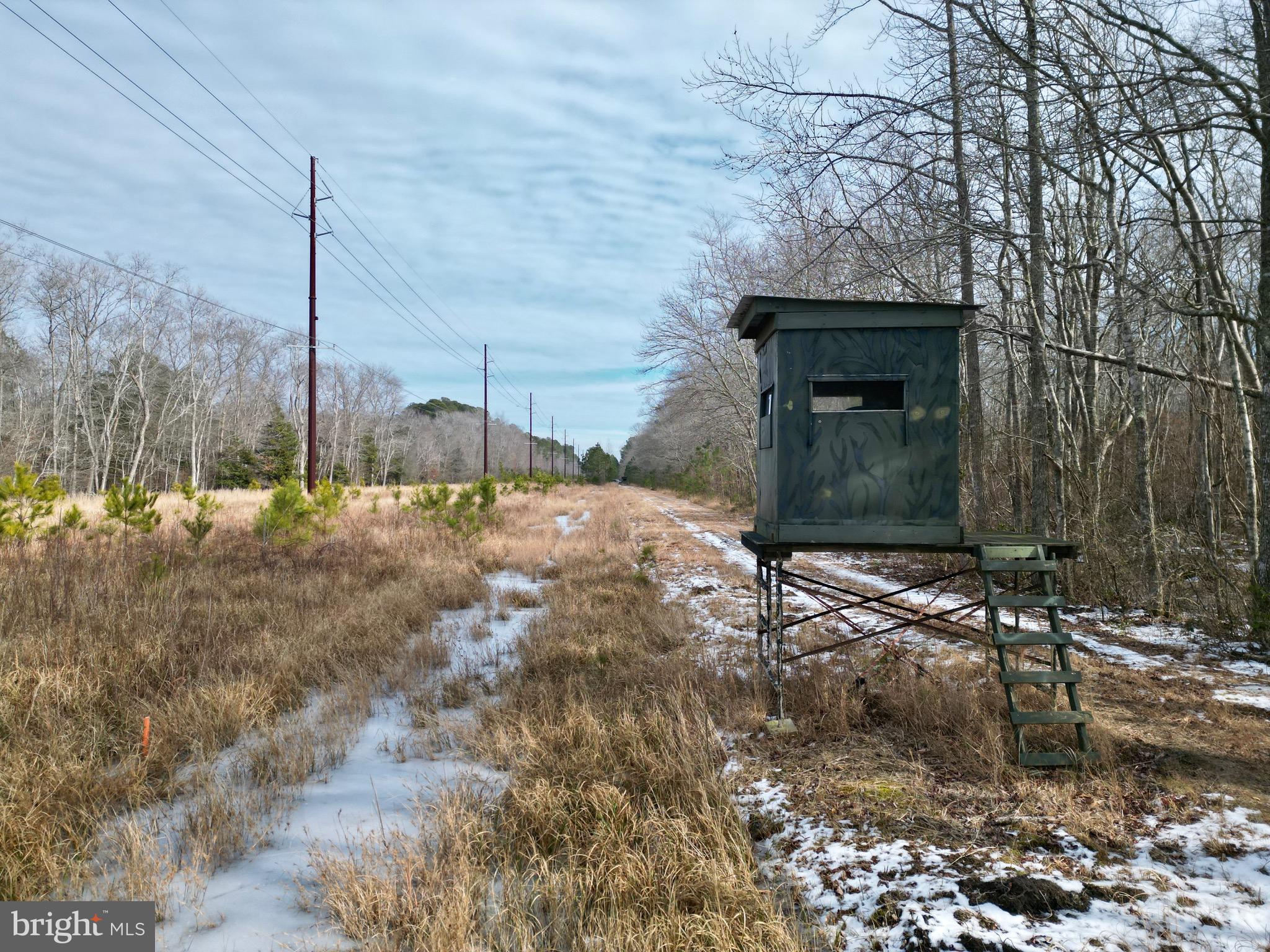 0 Holly Grove Road Berlin, MD 21811 - Photo 5 of 11