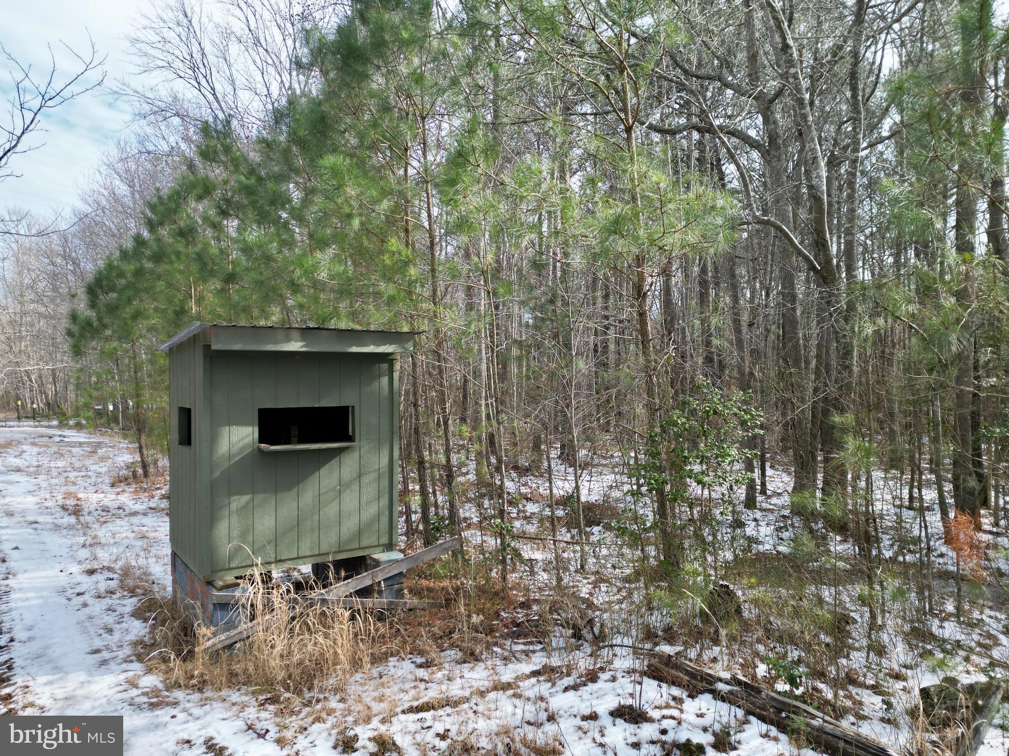 0 Holly Grove Road Berlin, MD 21811 - Photo 6 of 11