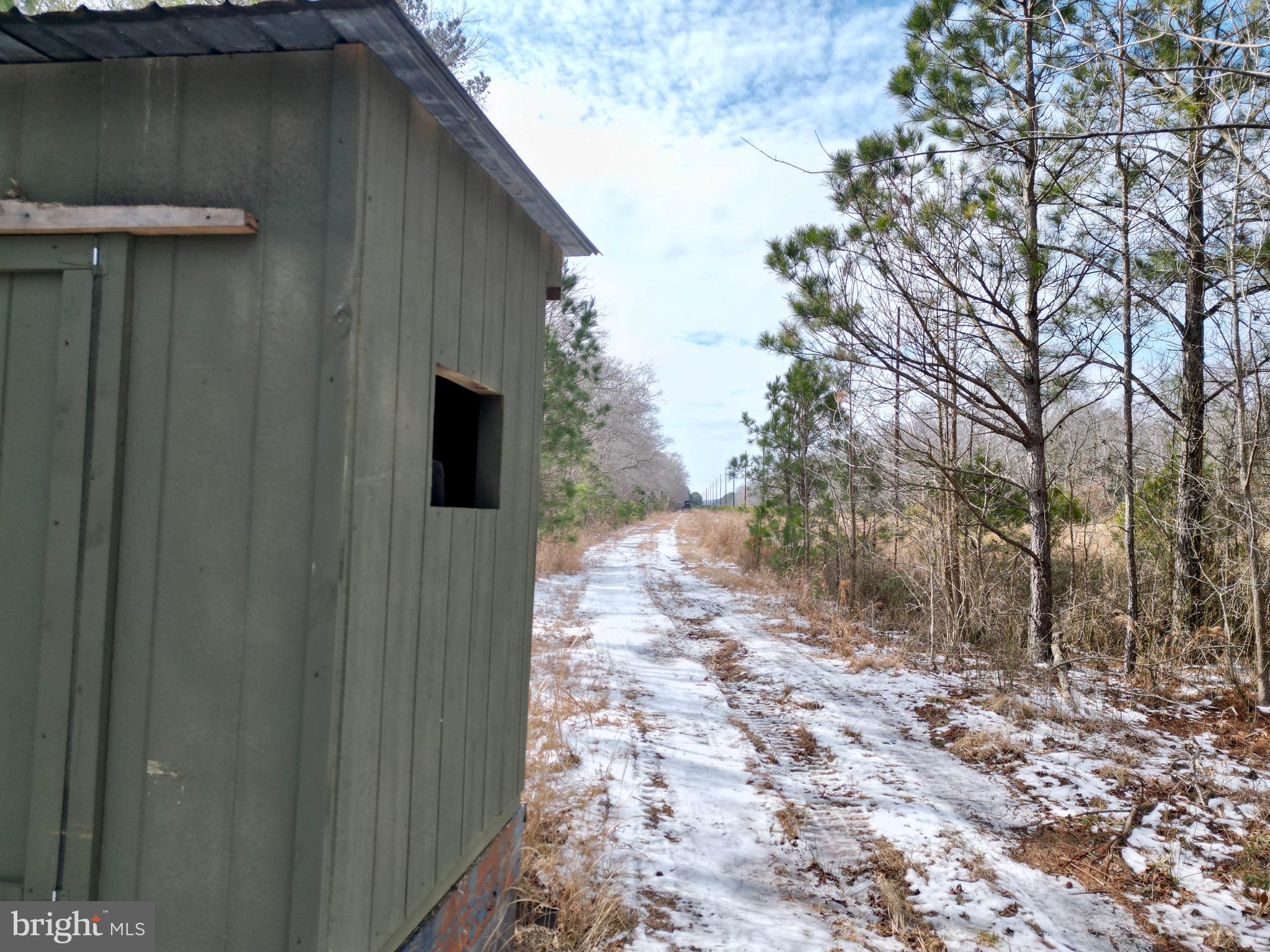 0 Holly Grove Road Berlin, MD 21811 - Photo 7 of 11