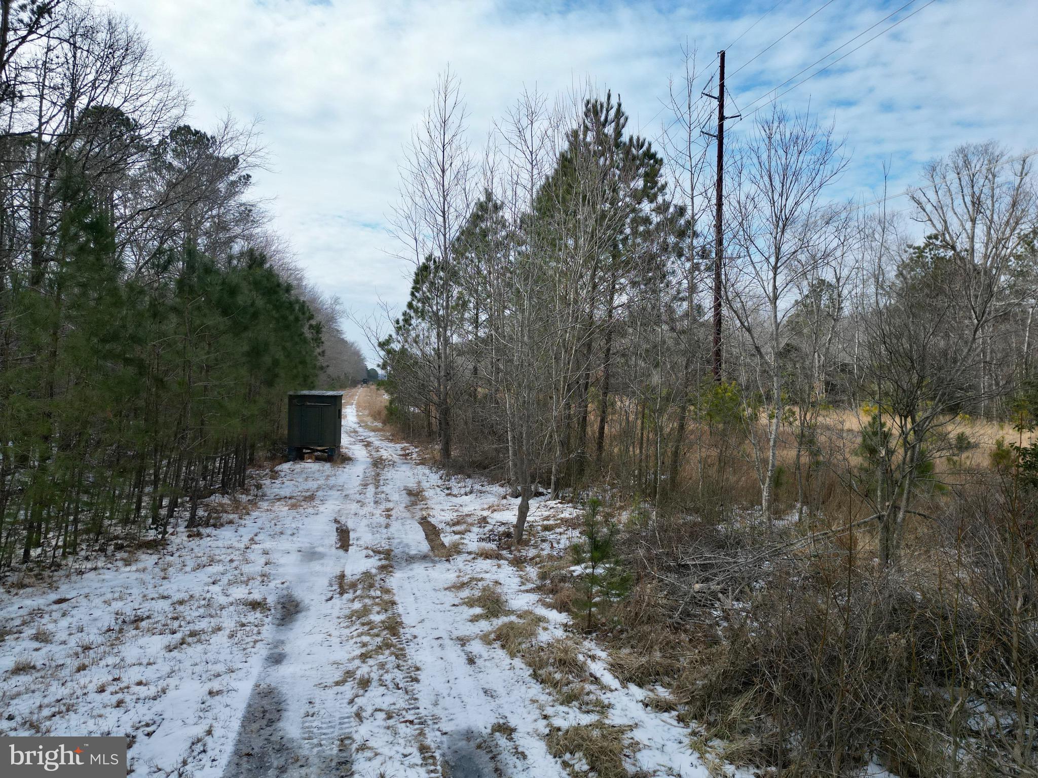 0 Holly Grove Road Berlin, MD 21811 - Photo 9 of 11