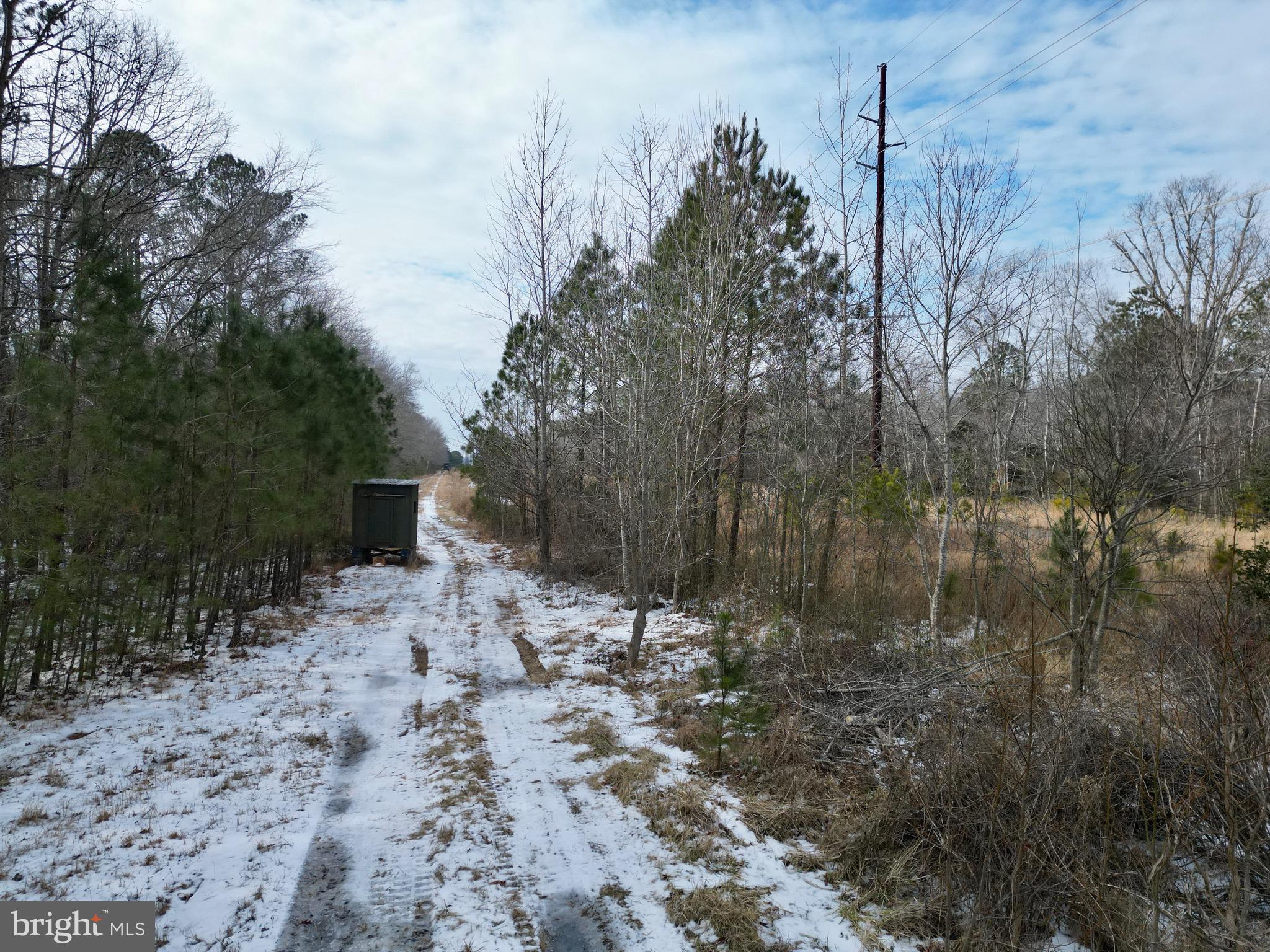 0 Holly Grove Road Berlin, MD 21811 - Photo 10 of 11