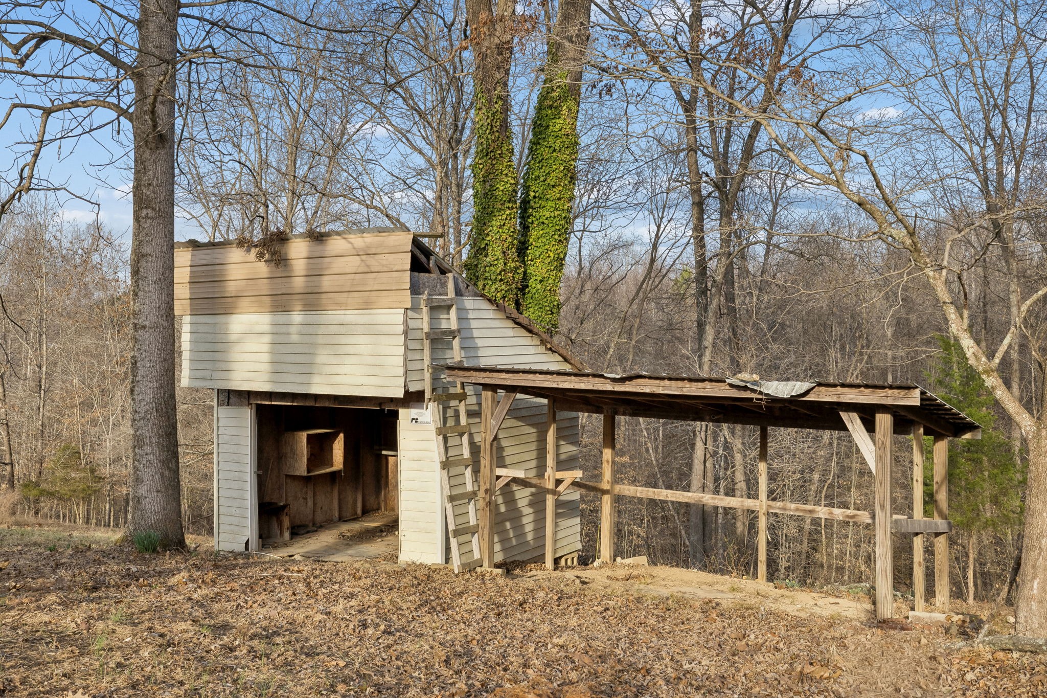 155 Big Ridge Road Indian Mound, TN 37079 - Photo 17 of 18 Gallery Image 17