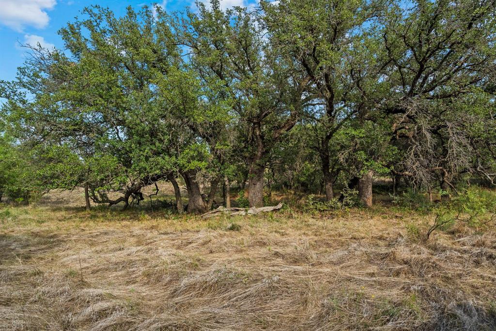 0 Proffitt Road Newcastle, TX 76372 - Photo 36 of 40 View of nature