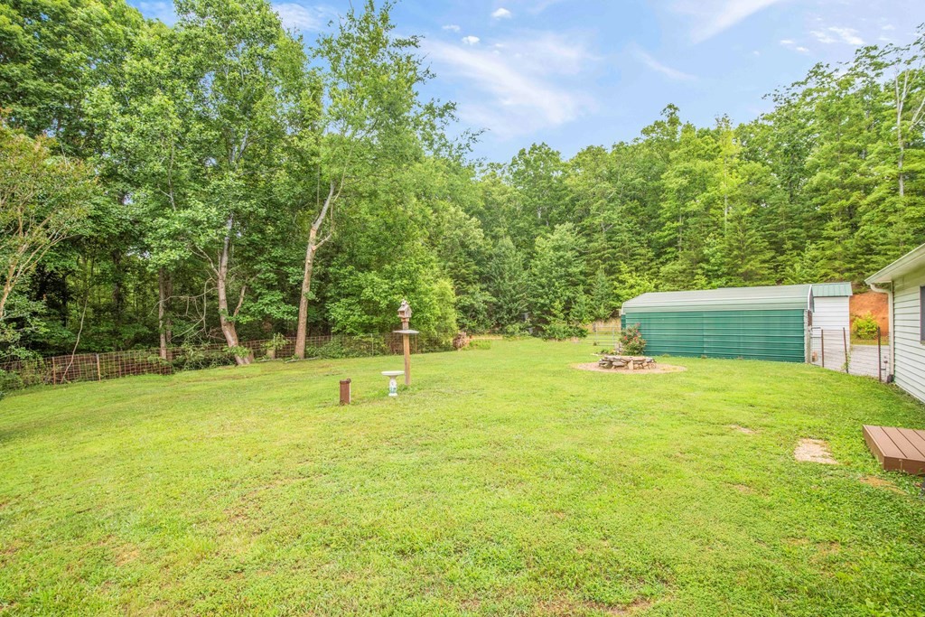542 Bill Miller Road Spring City, TN 37381 - Photo 47 of 60 Gallery Image 47