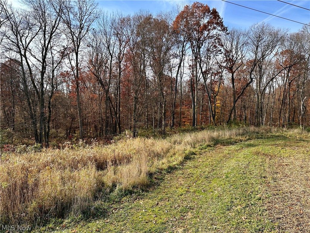 2875 McCoy Road Wooster, OH 44691 - Photo 4 of 18 Gallery Image 4