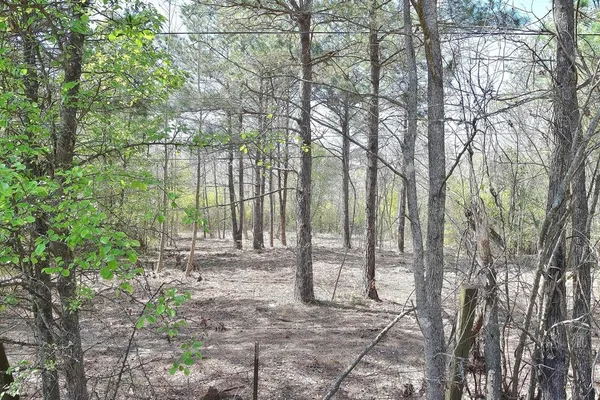 $19,000 | 0 Collins Road, Texarkana, TX 75501