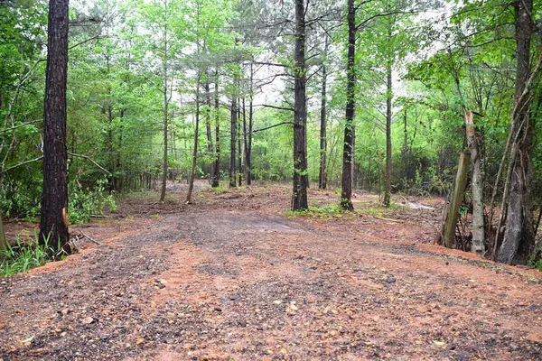 a view of outdoor space with lots of trees