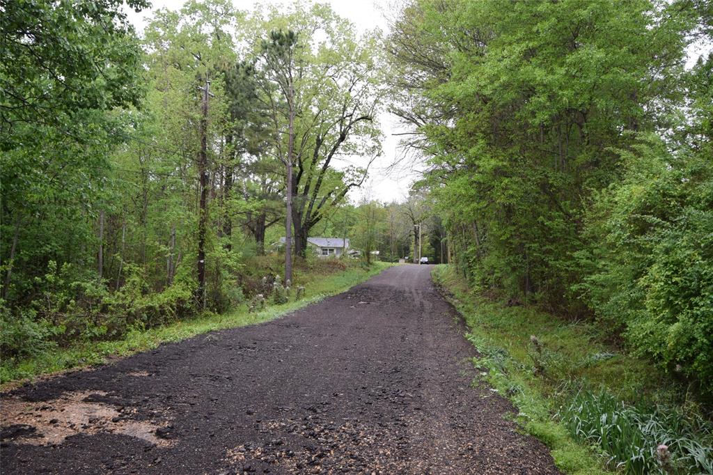 0 Collins Road Texarkana, TX 75501 - Photo 7 of 9 a view of a forest with trees