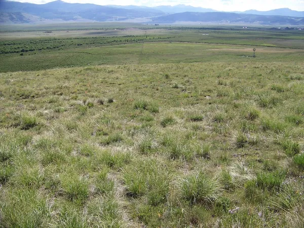 a view of a field with an ocean