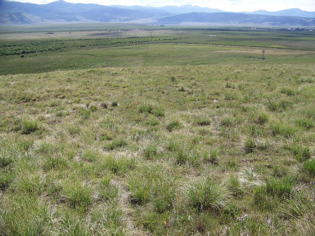 1327 Michigan Hill Road Jefferson, CO 80456 - Photo 1 of 11 a view of a field with an ocean