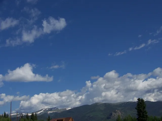 a view of a big yard