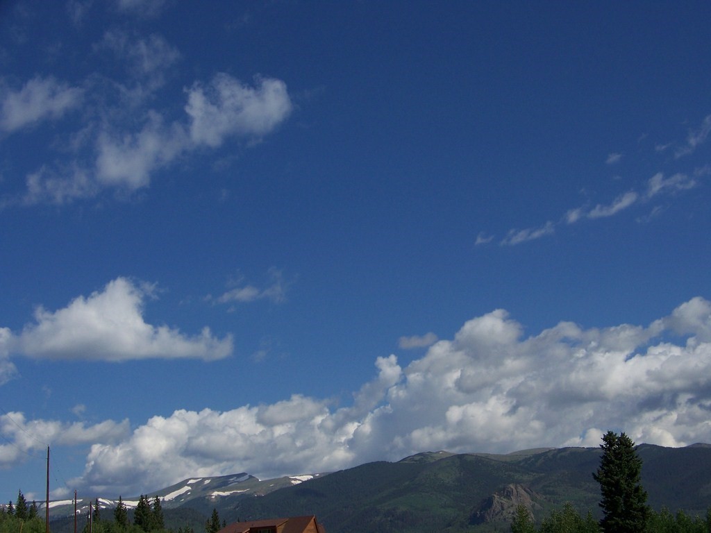1327 Michigan Hill Road Jefferson, CO 80456 - Photo 6 of 11 a view of a big yard