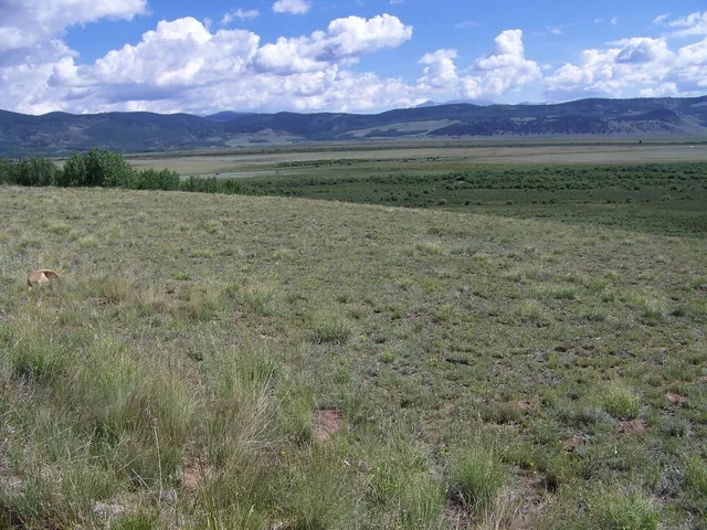 a view of a field with sunset in background
