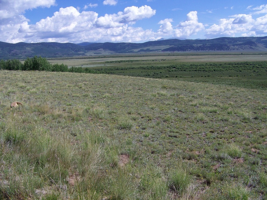 1327 Michigan Hill Road Jefferson, CO 80456 - Photo 8 of 11 a view of a field with sunset in background