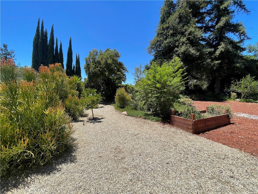 3921 Declaration Avenue Calabasas, CA 91302 - Photo 19 of 26 a view of garden with trees