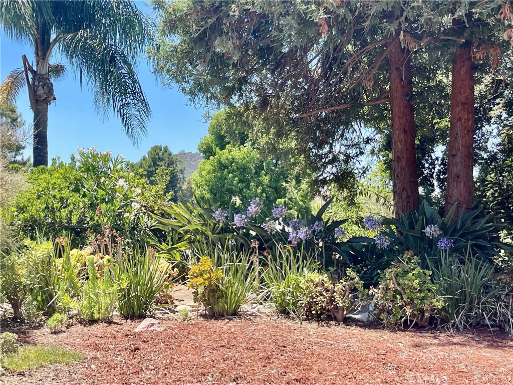 3921 Declaration Avenue Calabasas, CA 91302 - Photo 20 of 26 a view of a garden