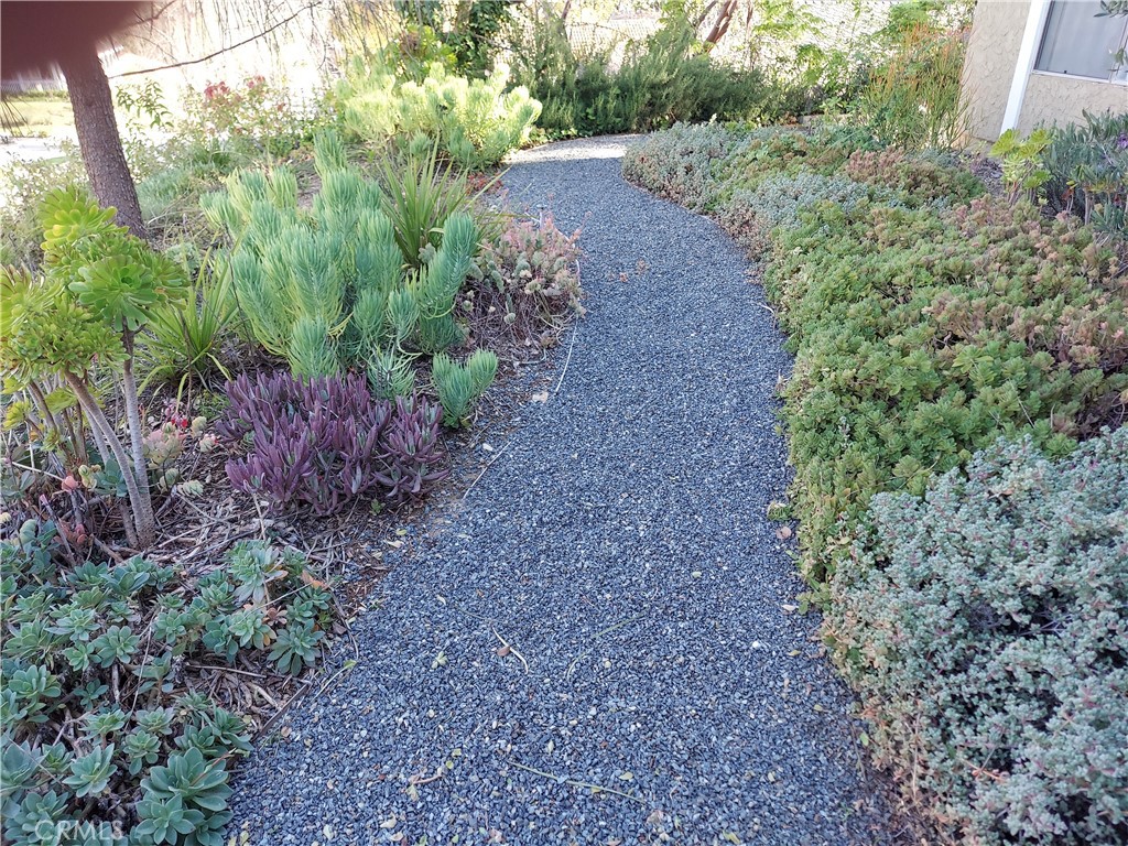 3921 Declaration Avenue Calabasas, CA 91302 - Photo 26 of 26 a view of a yard with plants and a tree